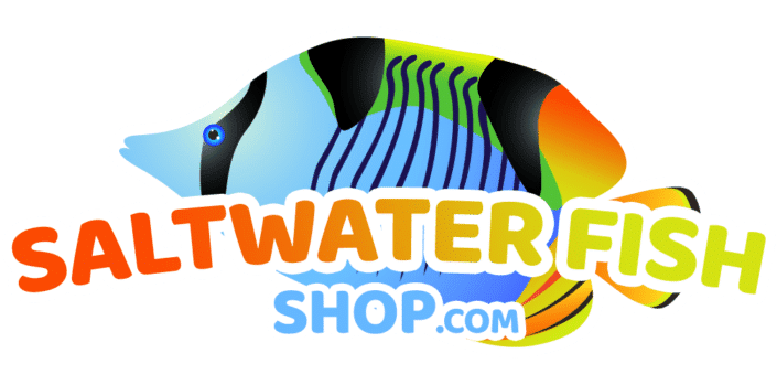 saltwater fish for sale