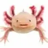 Axolotl for sale