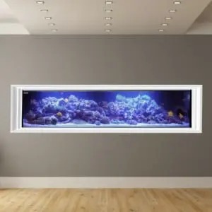 custom aquariums