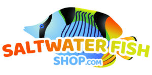 Saltwater Fish Shop Coupons and Promo Code