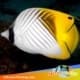 threadfin butterflyfish