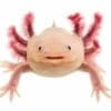 Axolotl for sale