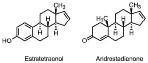 real human pheromones