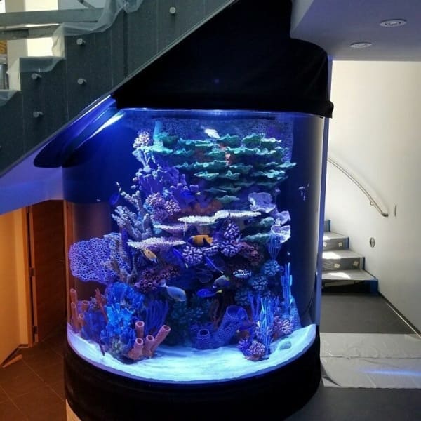 custom aquariums for sale custom acrylic aquariums built custom